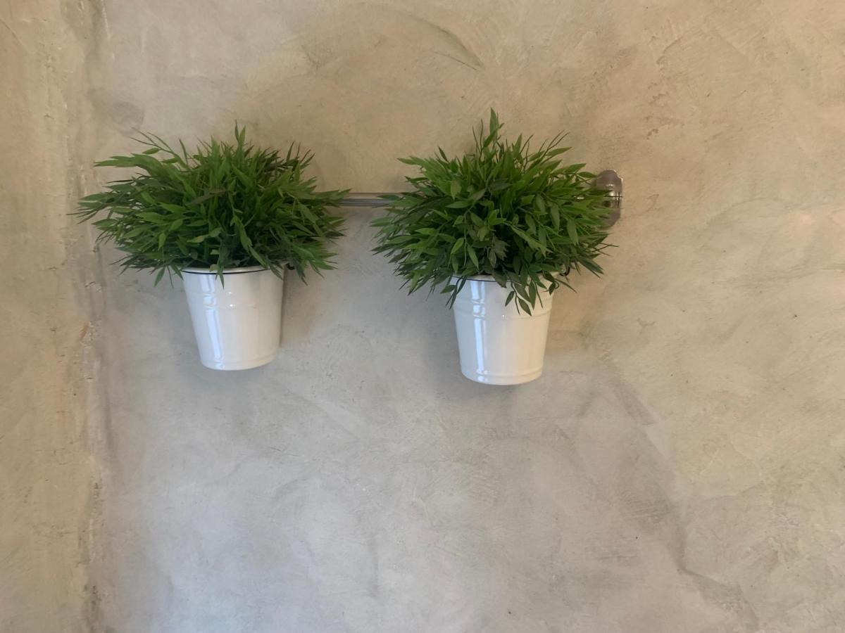 San IldefonsoCasa Del Plantelアパートメント エクステリア 写真